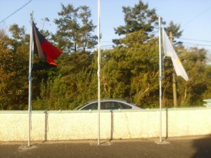 flags small